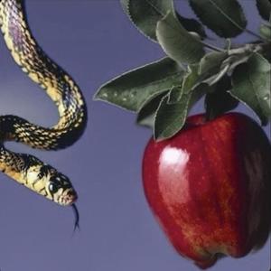 Kan't Fold (feat. Xeraki, Azarae, New Age Music & Chris Finesse Exclusives) (Explicit)