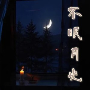 不眠月光