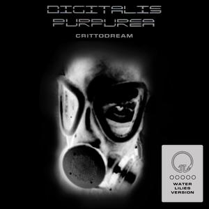 Crittodream (Radio Edit|Explicit|Water Lilies Version)
