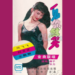 黄色的玫瑰/秋蝉/一个小心愿/让我们看云去/春风吻上我的脸/昨夜梦见你/爱情/丢不掉的情义/俏姑娘/晚风/你要忍耐/今夜我醉了/寻梦园/一条路/三月三/小秘密/迟到/热线你和我/爱情如水向东流/多少次歌唱封面