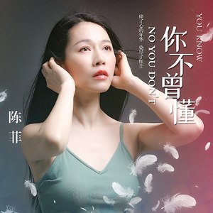 陈菲 - 你不曾懂