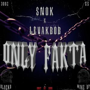 Only Fakta (feat. LevakBob) (Explicit)
