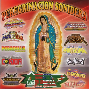 Peregrinacion Sonidera