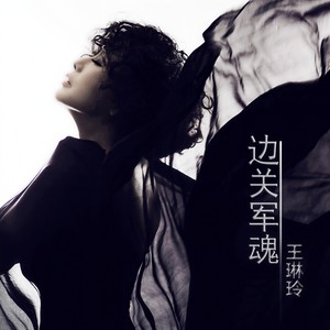 王琳玲 - 花儿为什么这样红