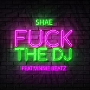 **** the DJ (feat. Vinnie Beatz)