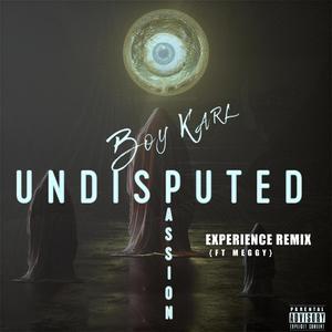 EXPERIENCE REMIX (feat. Meggy) (Version)