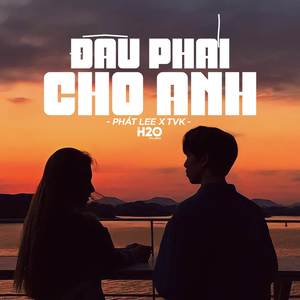 Đâu Phải Cho Anh (Lofi Ver.)