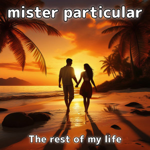 The Rest of My Life (Mister particular edit)