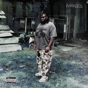 Damaged (Explicit)