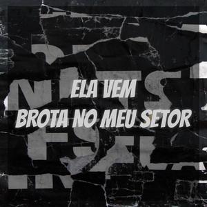 ELA VEM, BROTA NO MEU SETOR (feat. MC RODRIGO DO CN) [Explicit]