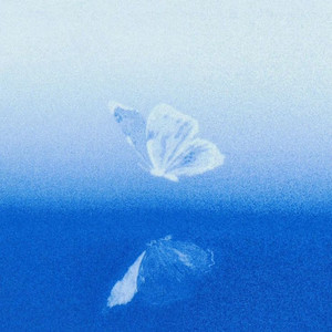 我向你飞-爱到心碎