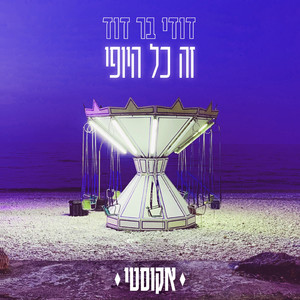 זה כל היופי (אקוסטי)