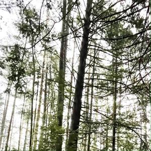 betr myself (Explicit)