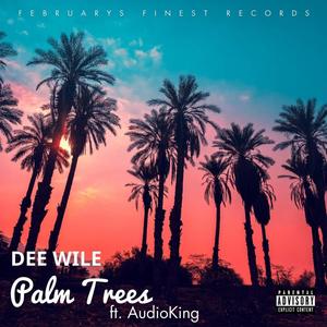 Palm Trees (feat. Audio King) [Explicit]