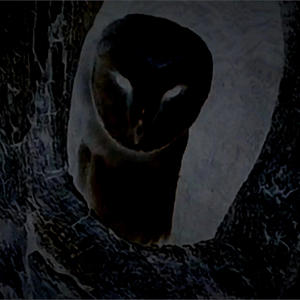 Balam C - DESCONECTADOS (feat. YzK) (Explicit)