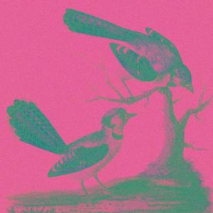 ohio state / ohio moon (Explicit)