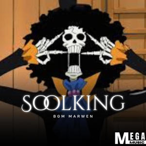 Soolking