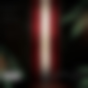 Bally Bag (Explicit)