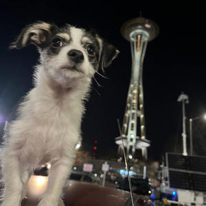 Cold night (Explicit)