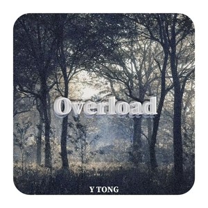 Overload