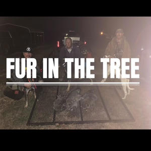 Fur In The Tree