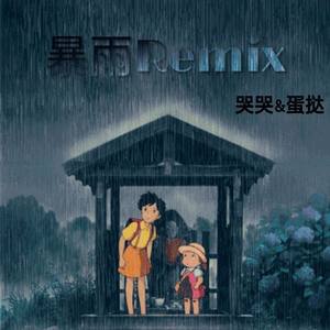 暴雨Remix