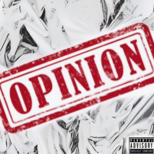 Opinions (Explicit)