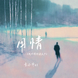 用情 (我用情付诸流水)