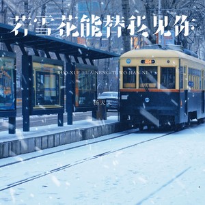 若雪花能替我见你