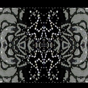 Back To the Old School