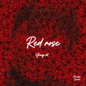 red rose (Explicit)