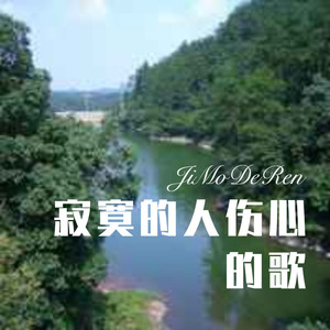 风风雨雨 (DJ版)