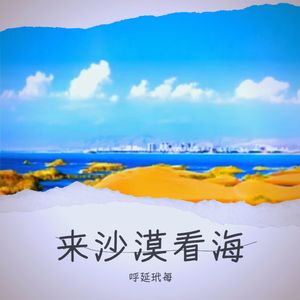 来沙漠看海