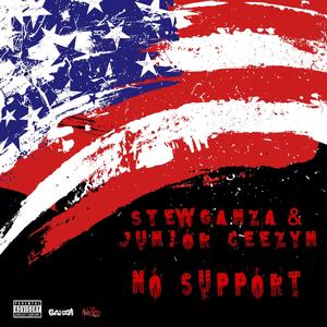 No Support (Explicit)