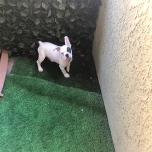 Anxiety (feat. bluu!)