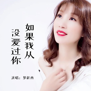 如果我从没爱过你