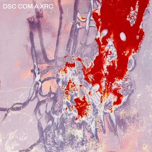 DSC COM A XRC (feat. NOTRN & MC Lekão) (Explicit)