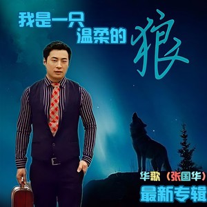 我是一只温柔的狼