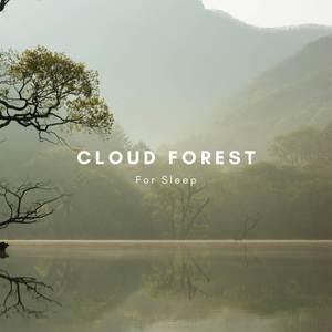 Cloudy Forest for Sleep