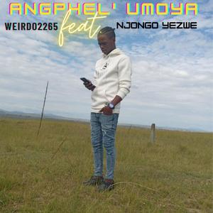 Ang'phel' Umoya (feat. Njongo Yezwe)