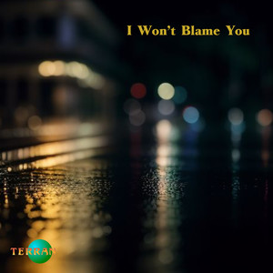 I Won't Blame You