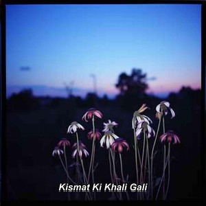 Kismat Ki Khali Gali