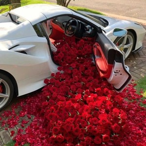 做我老婆好不好 (DJ新版)