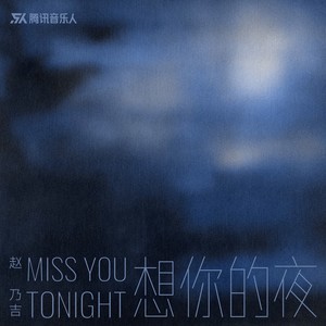 想你的夜