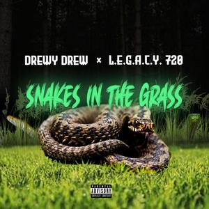 Snakes in the Grass(feat. L.E.G.A.C.Y. 720) (Explicit)