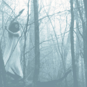 wooden giants and mechanical birds