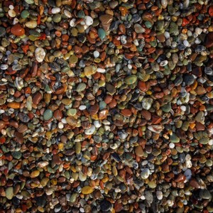 Are You Seeing This?(feat. Count Salaz)