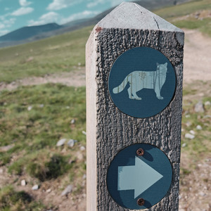 copiers.aboard.sneezing