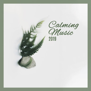 Calming Music 2019: Ambient Music Perfect for Calming Nerves, Aid for Anxiety, Bad Mood, Depression, Bad Thoughts Destroyer, Stress Relief