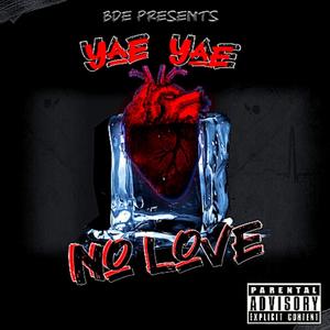NO LOVE (Explicit)